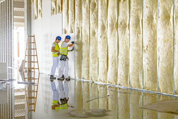 Best Insulation Materials and Products in Newberry, SC